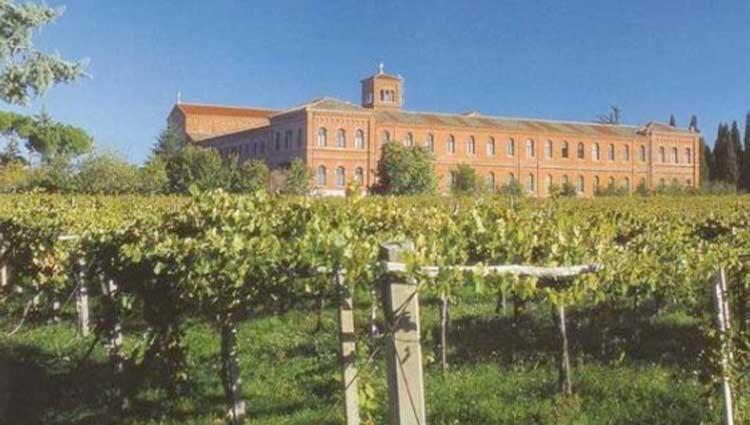 A Casa Di Marco Guesthouse - Apt Di Ciampino E Stazione Per Roma Marino Eksteriør billede